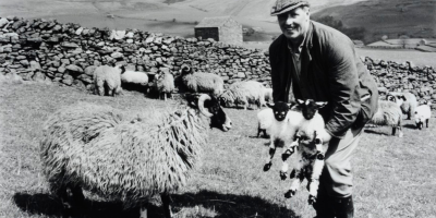 Black and white photograph of a man holding two lambs beside a sheep